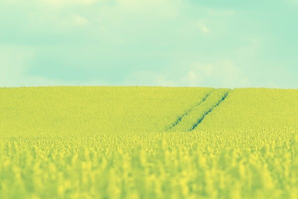 Landscape of a rural field with footprints