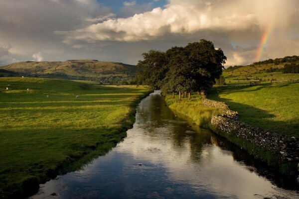 Paisaje con un campo de agua de árboles y montañas