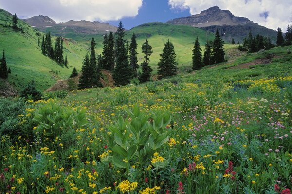 Force dans les montagnes. Nature montagneuse