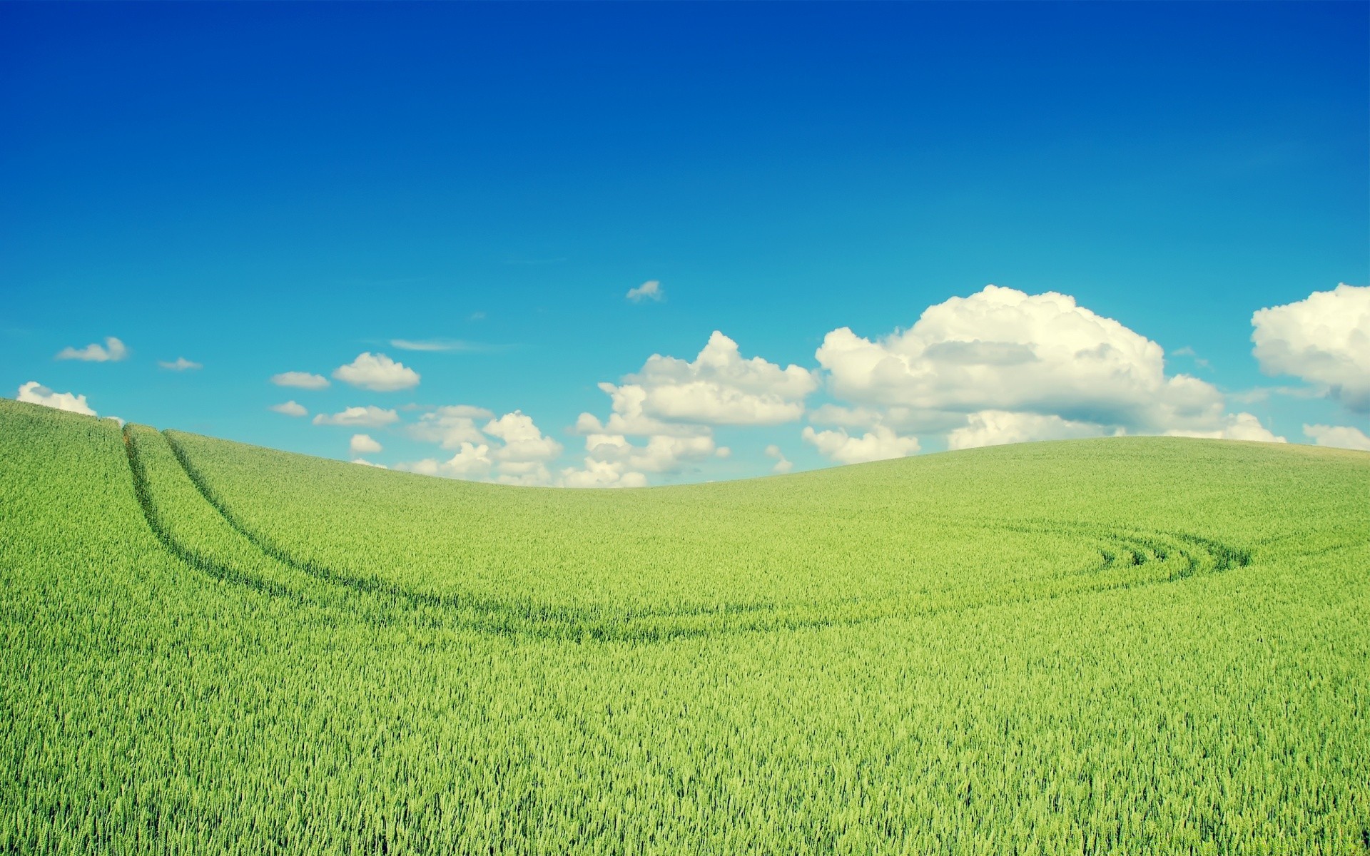 paisaje rural pasto campo campo agricultura naturaleza paisaje crecimiento buen tiempo granja hierba verano sol tierras de cultivo suelo cielo al aire libre tierras cultivadas