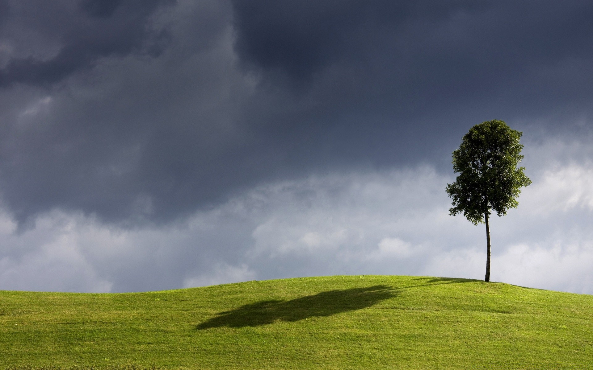 paesaggio paesaggio erba natura cielo all aperto campagna pascolo rurale albero pascolo campo estate bel tempo tempo idillio sole