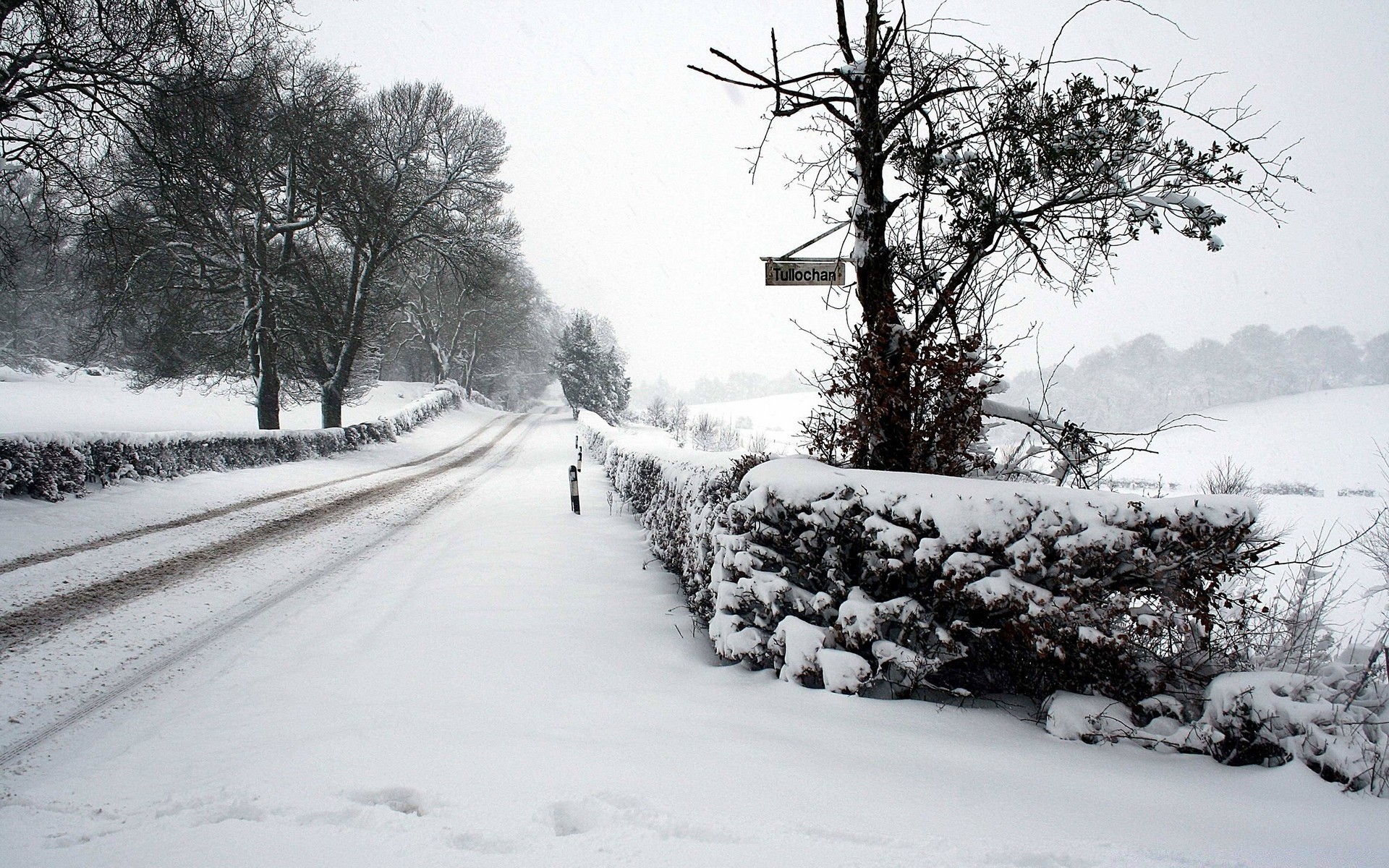 paisagens inverno neve frio geada congelado tempo árvore nevasca gelo paisagem temporada madeira estrada névoa neve neve branca ramo guia gelado cênica