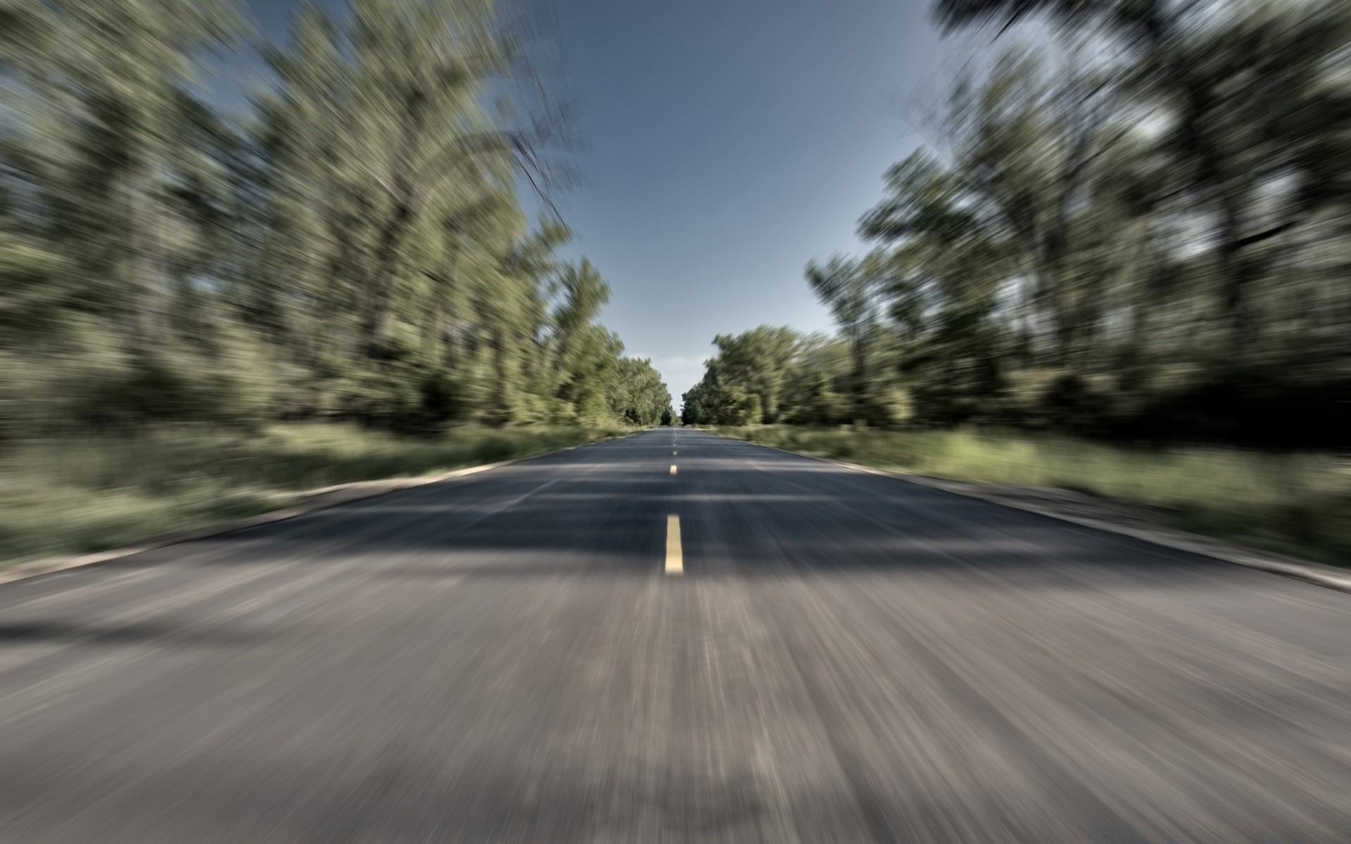 景观 道路 沥青 指南 景观 树木 高速公路