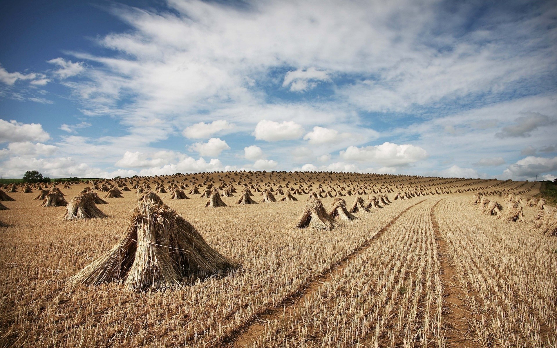 paisaje paisaje seco agricultura cielo naturaleza suelo campo desierto al aire libre granja país viajes rural verano horizonte escénico arena cosecha