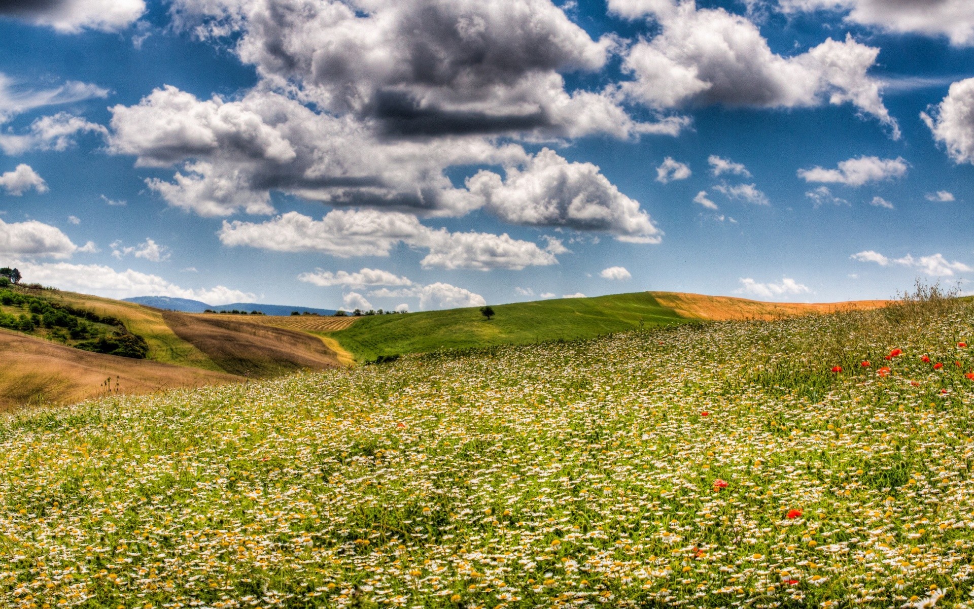 landscapes landscape sky nature outdoors field summer grass rural travel cloud hayfield countryside hill tree agriculture farm scenic