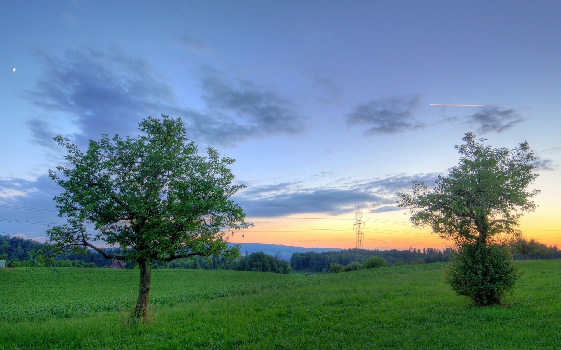 landschaft landschaft baum natur gras himmel landschaft des ländlichen raumes im freien heuhaufen sommer dämmerung holz landschaftlich sonne idylle gutes wetter feld tageslicht hell