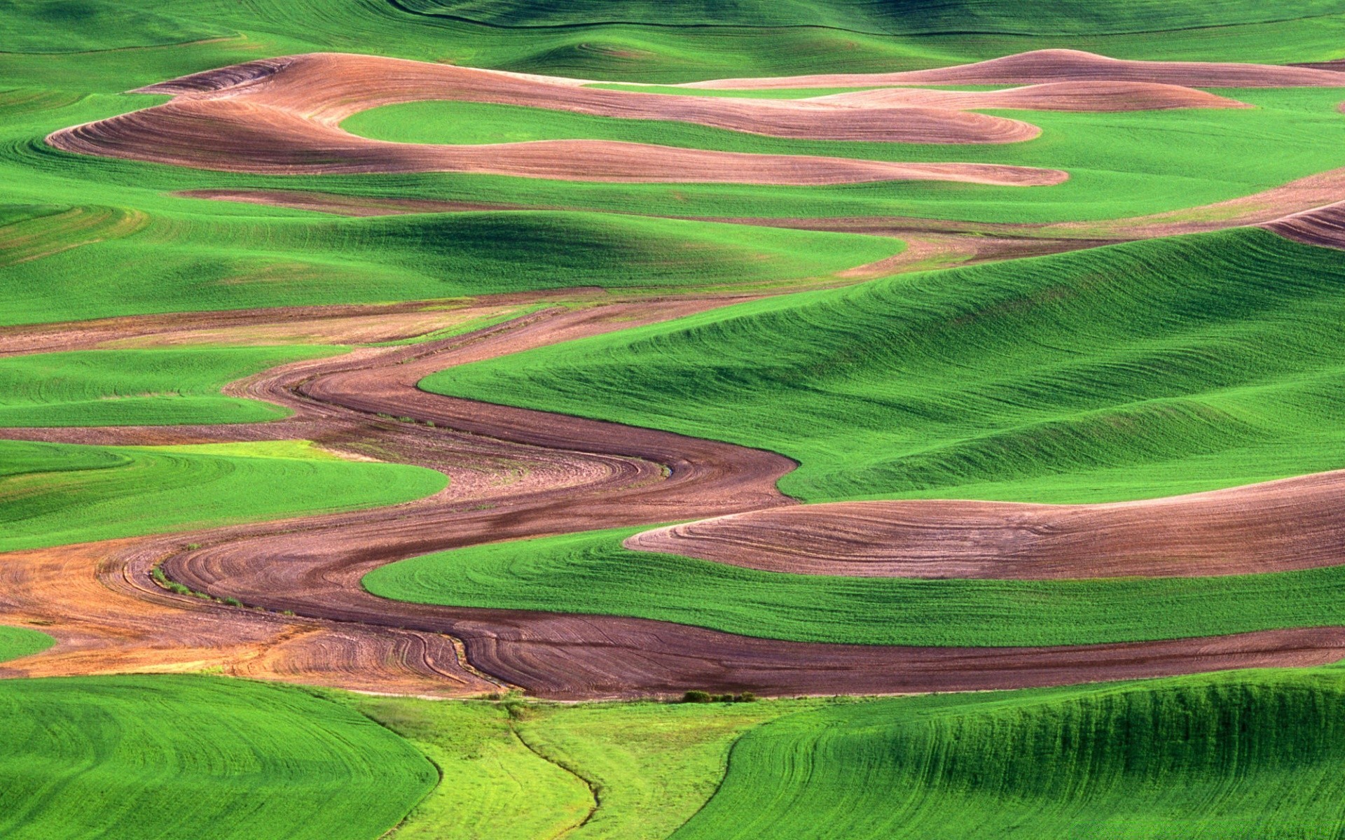 paisaje agricultura tierras cultivadas campo hierba campo naturaleza al aire libre tierras de cultivo rural verano granja paisaje pasto suelo crecimiento cosecha tierra cielo pastoral