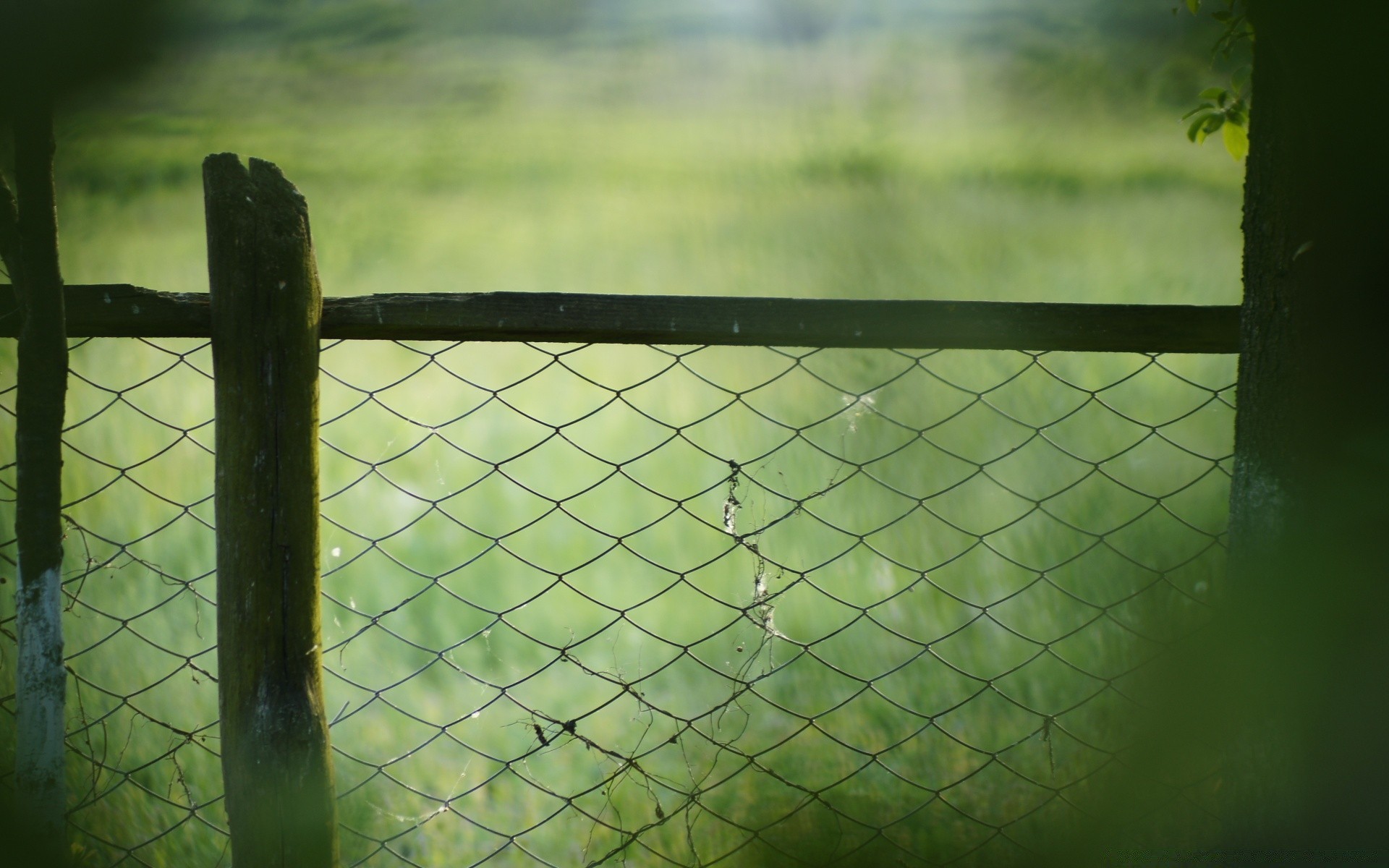 landschaft zaun landschaft im freien stacheldraht web licht schatten tennis