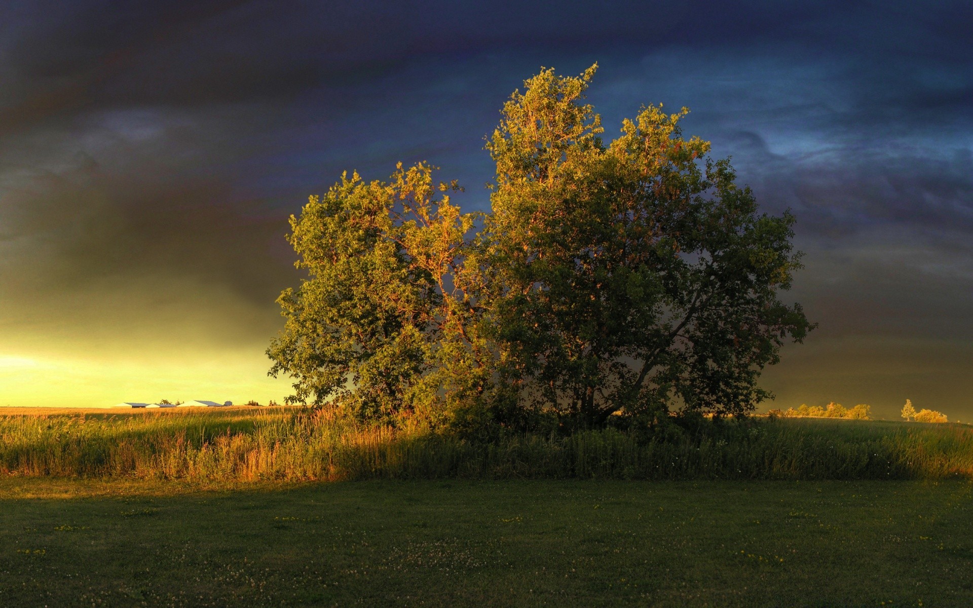 paesaggio autunno paesaggio albero natura alba tramonto all aperto campagna sole cielo bel tempo sera foglia erba legno rurale luce scenico