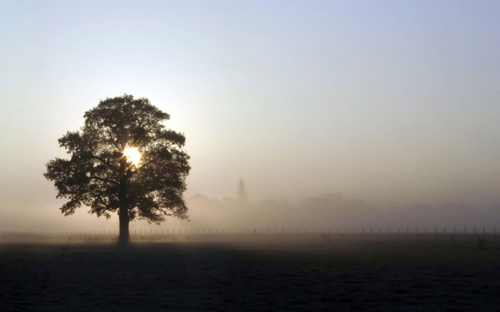 paysage brouillard paysage aube brouillard arbre nature soleil coucher de soleil ciel à l extérieur lumière silhouette soir météo rétro-éclairé beau temps été