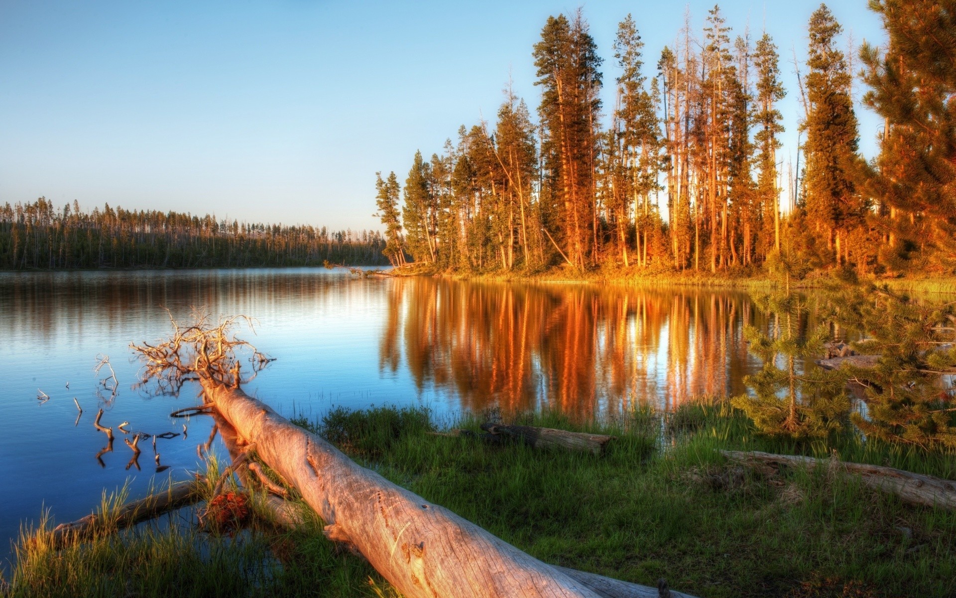 landscapes water nature landscape tree lake wood outdoors reflection sky scenic river park fall environment travel