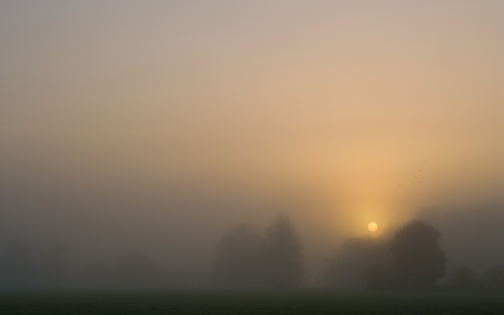 landscapes fog landscape sunset sun dawn mist sky light weather evening nature silhouette backlit art dusk winter moon