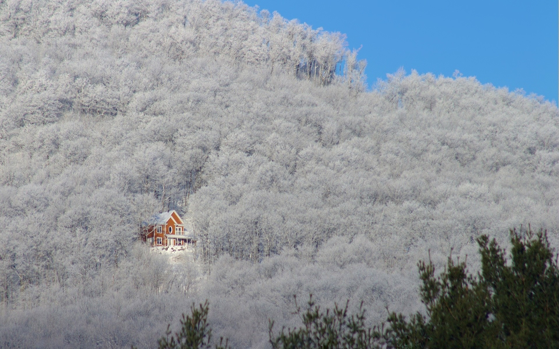 landscapes snow sky landscape daylight tree winter travel outdoors weather nature mountain scenic