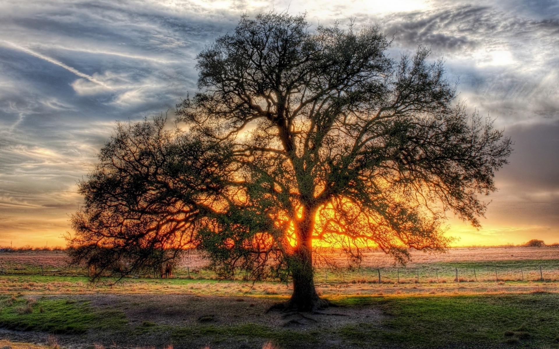 landschaft landschaft dämmerung baum sonnenuntergang natur sonne herbst himmel gutes wetter des ländlichen raumes landschaft gras im freien holz licht abend