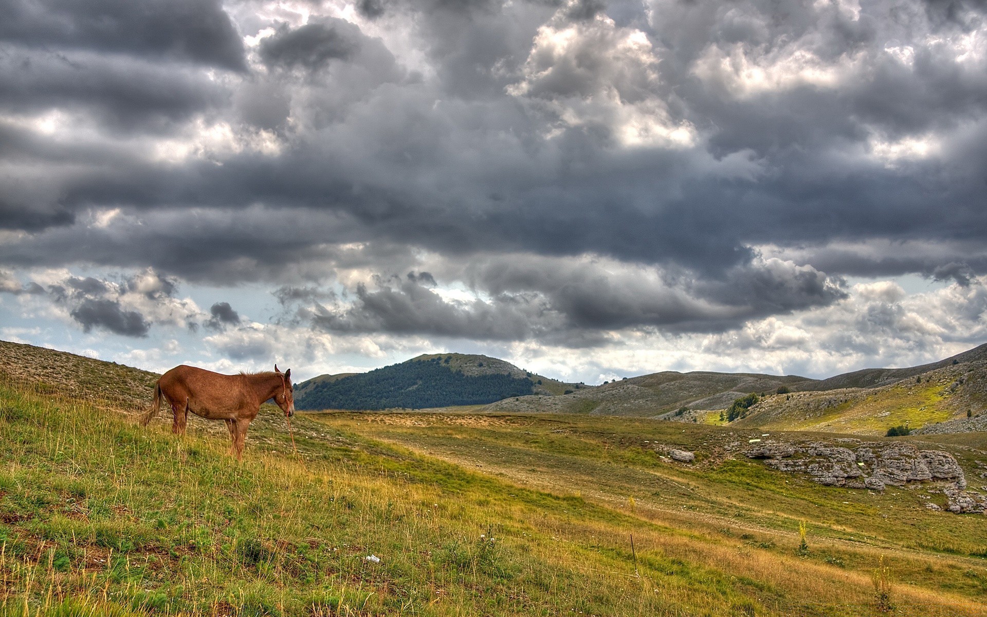 landscapes outdoors landscape sky travel grass nature mountain countryside pasture rural grassland summer agriculture hill scenic field cloud farm hayfield