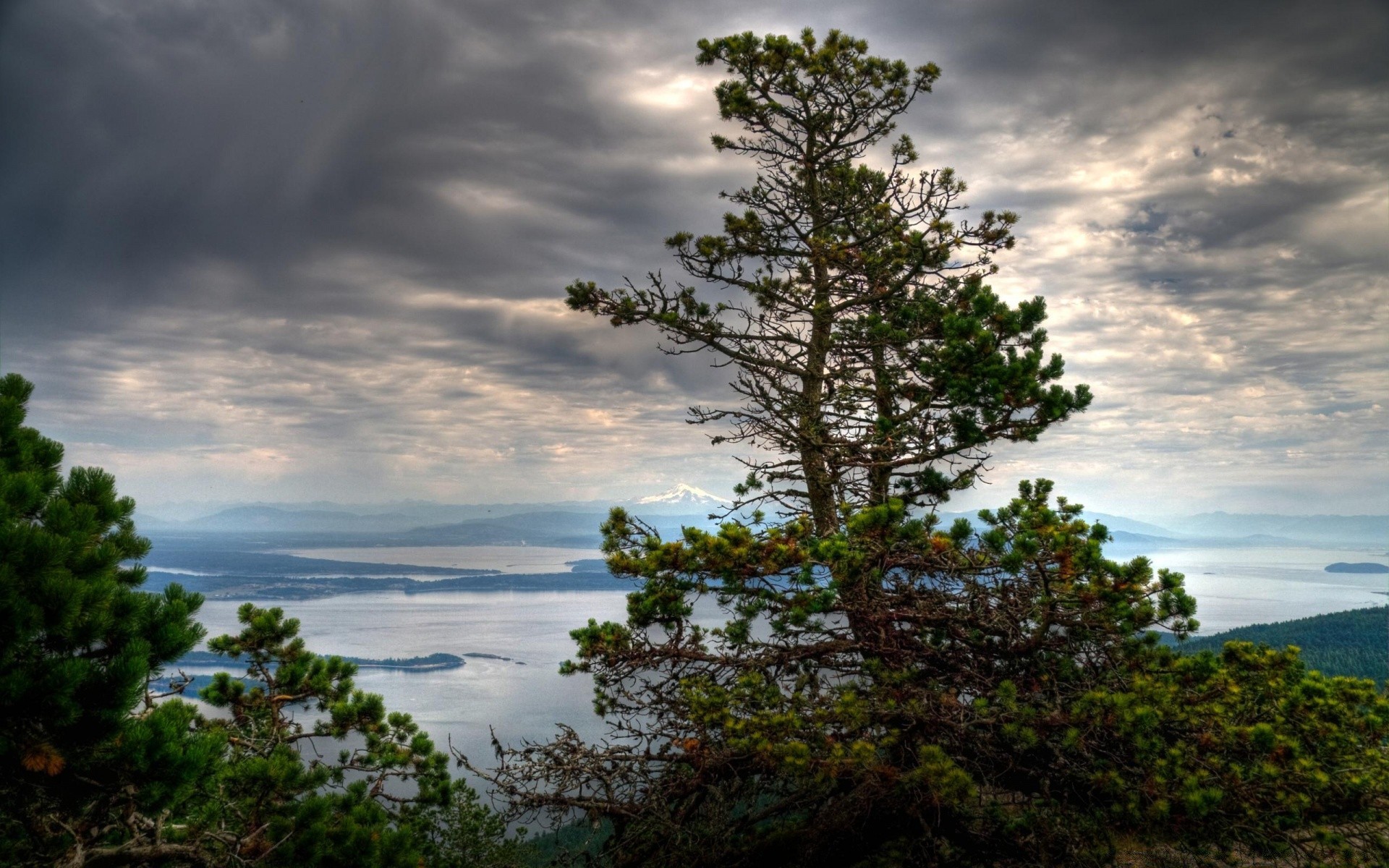 paysage arbre nature eau paysage ciel à l extérieur été soleil voyage bois scénique aube sang-froid beau temps idylle coucher de soleil lac