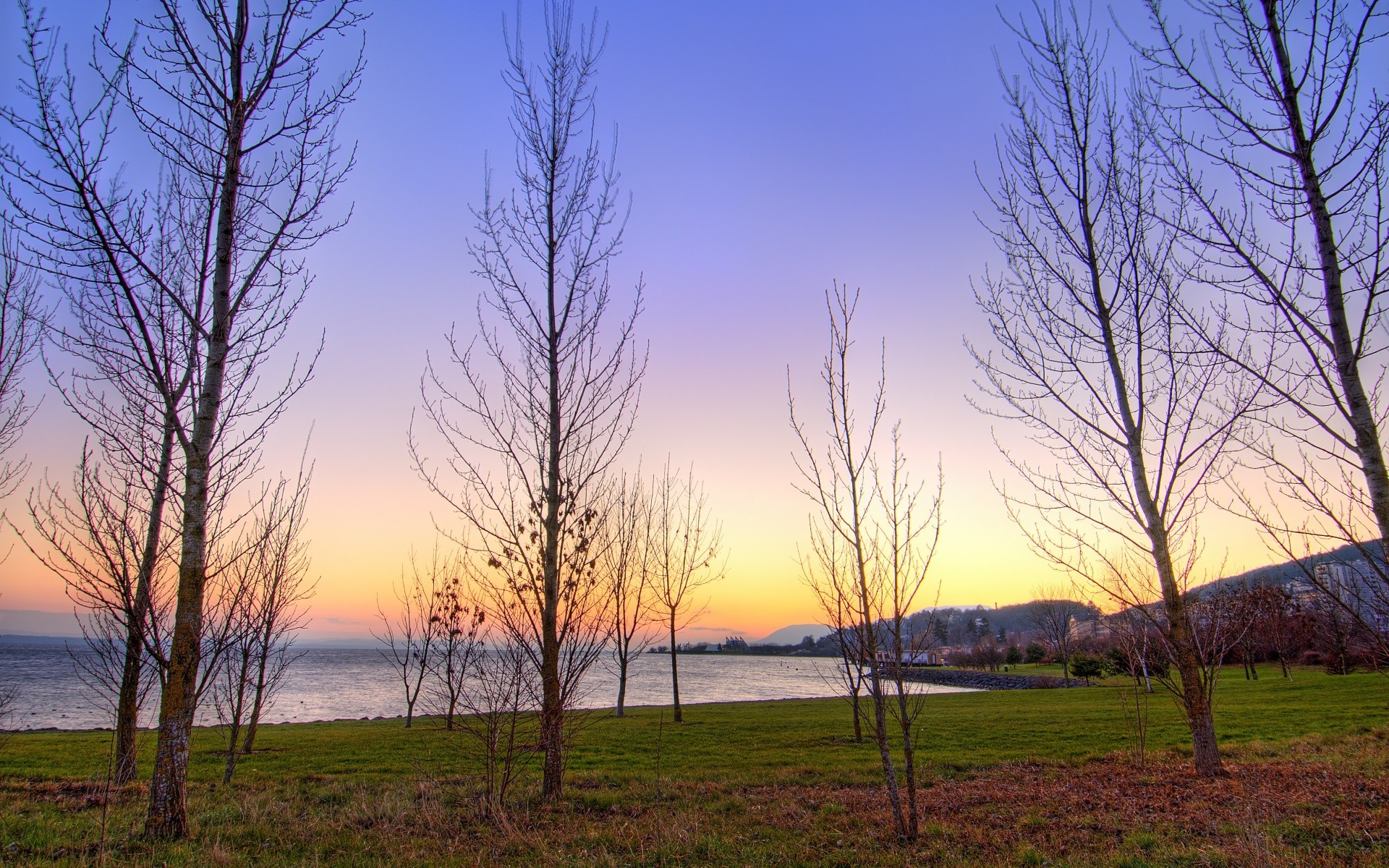 paisaje paisaje árbol naturaleza amanecer otoño niebla hierba medio ambiente escénico temporada madera al aire libre campo buen tiempo rural cielo sol tiempo luz