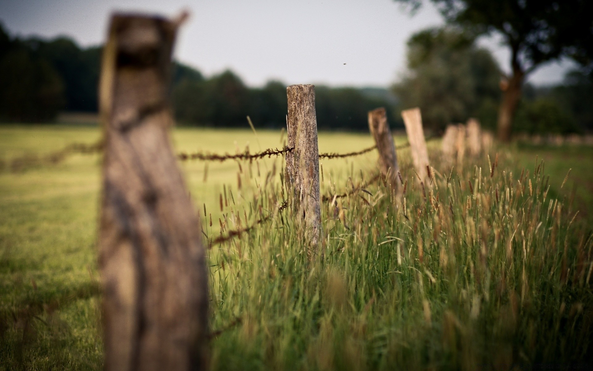 paesaggio recinzione erba natura all aperto paesaggio campo albero tramonto legno cielo terra coltivata azienda agricola