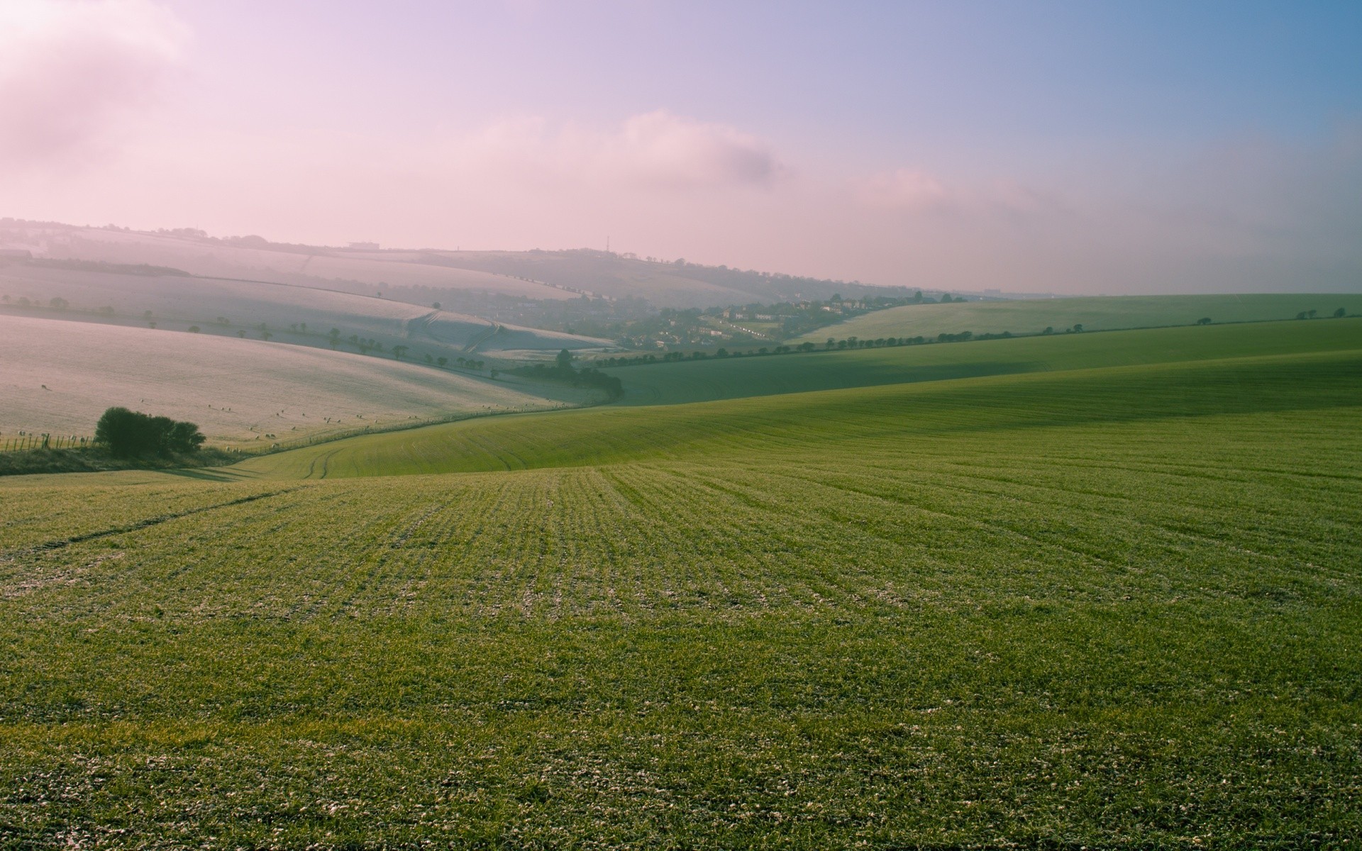 landschaft landschaft natur gras landschaft landwirtschaft himmel feld sommer des ländlichen bebautes land im freien bauernhof baum hügel weide weide dämmerung nebel heuhaufen