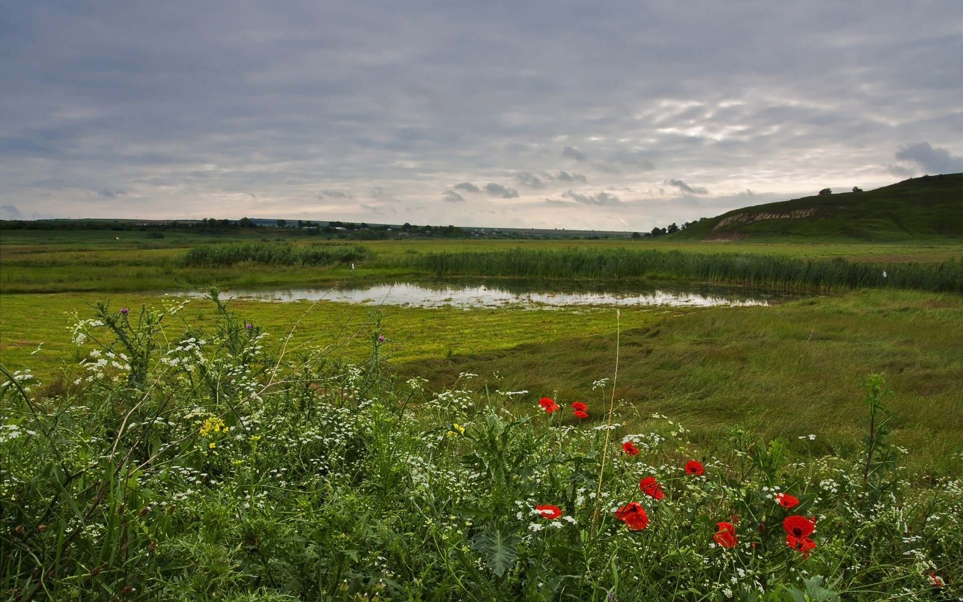 krajobrazy krajobraz sianokosy pole trawa natura niebo kwiat rolnictwo na zewnątrz lato pastwiska wieś chmura wiejskie ziemia uprawna światło dzienne gospodarstwo malownicze pastwisko