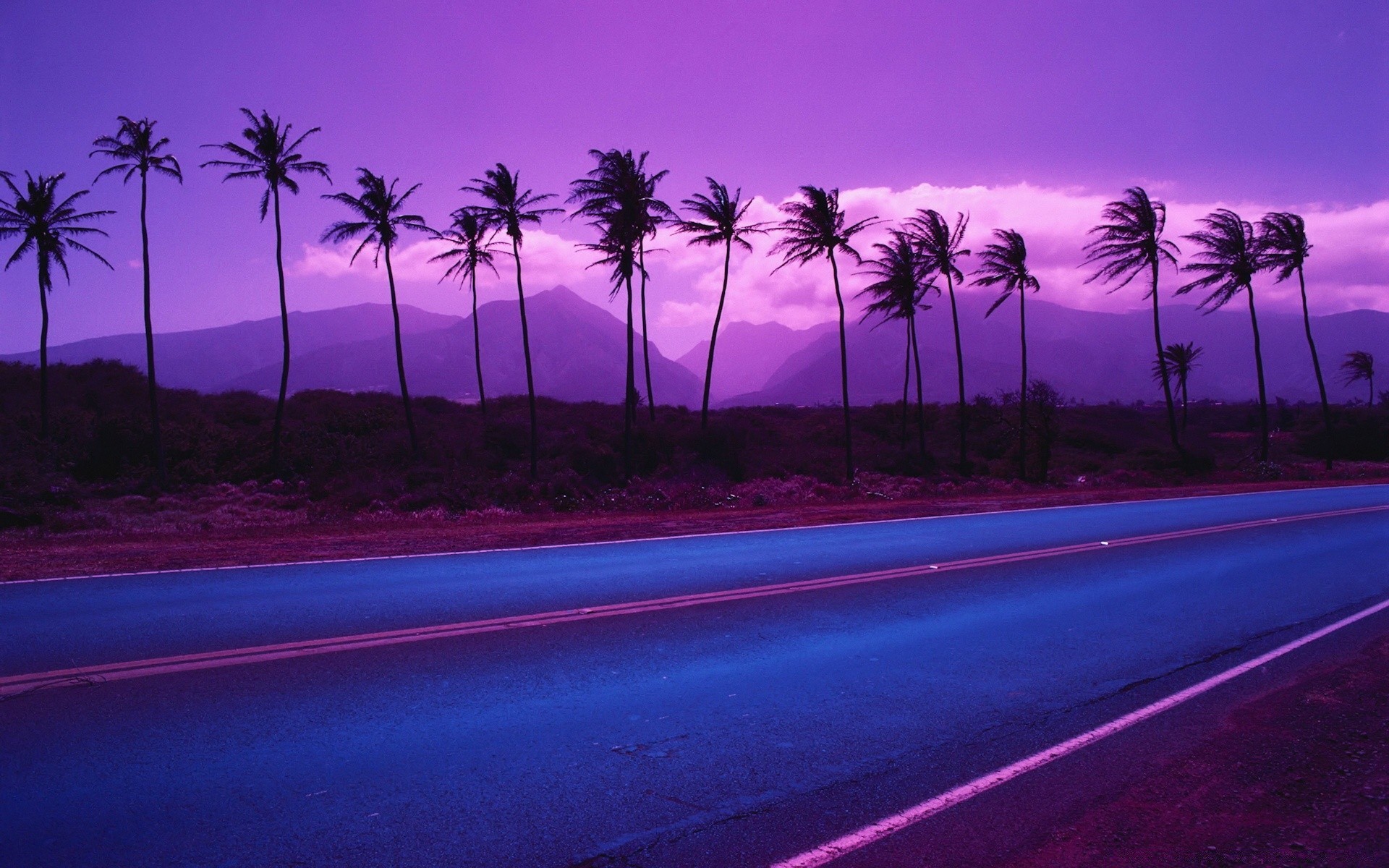 paisagens praia tropical palma pôr do sol oceano árvore mar anoitecer viagens coco areia verão ilha noite água sol paisagem céu resort