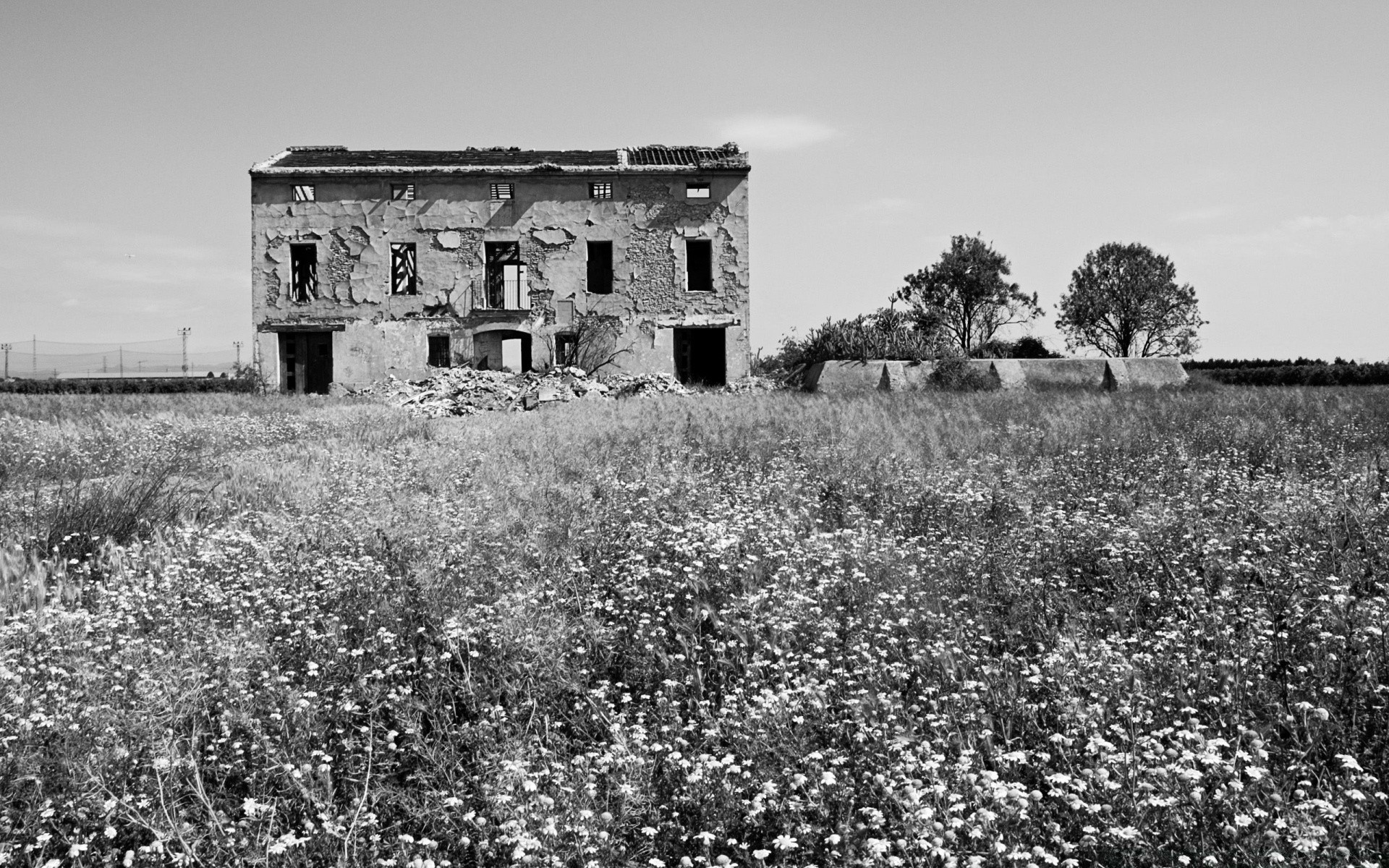 paisaje abandonado paisaje al aire libre granja agricultura casa casa viejo casa campo hierba tierras cultivadas arquitectura