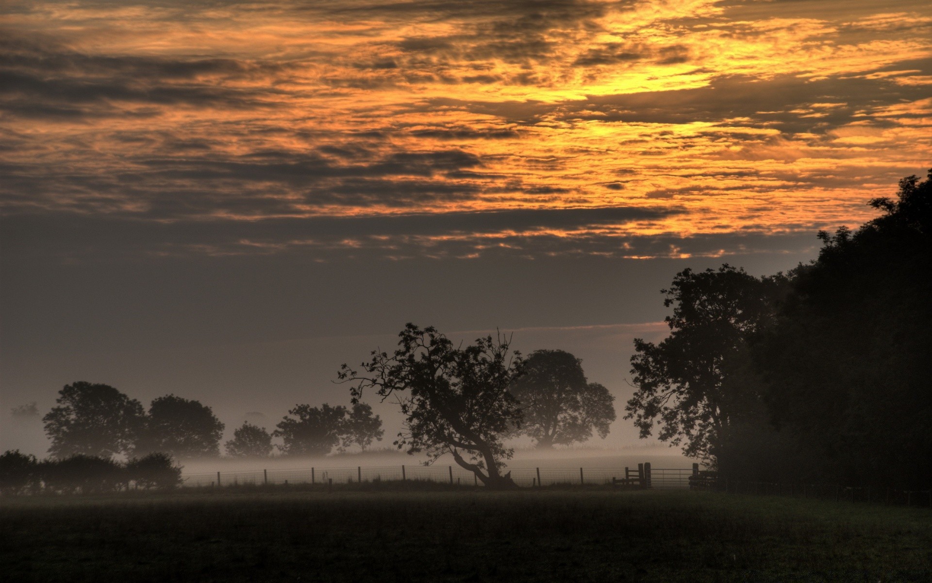 landscapes sunset dawn fog landscape sun nature sky tree evening mist dusk silhouette outdoors backlit water fair weather