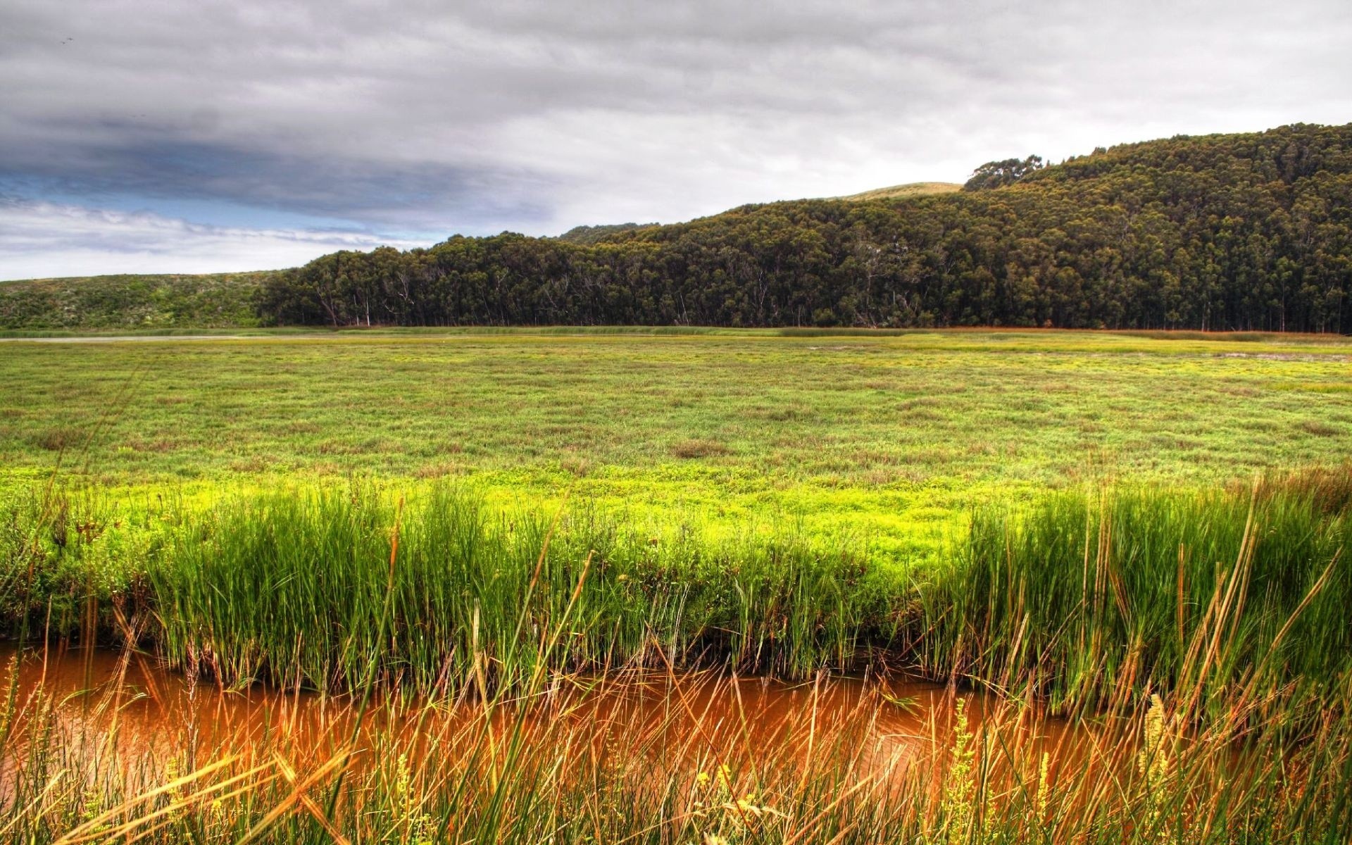 landscapes landscape nature grass field sky rural hayfield outdoors summer agriculture countryside scenic horizon flora