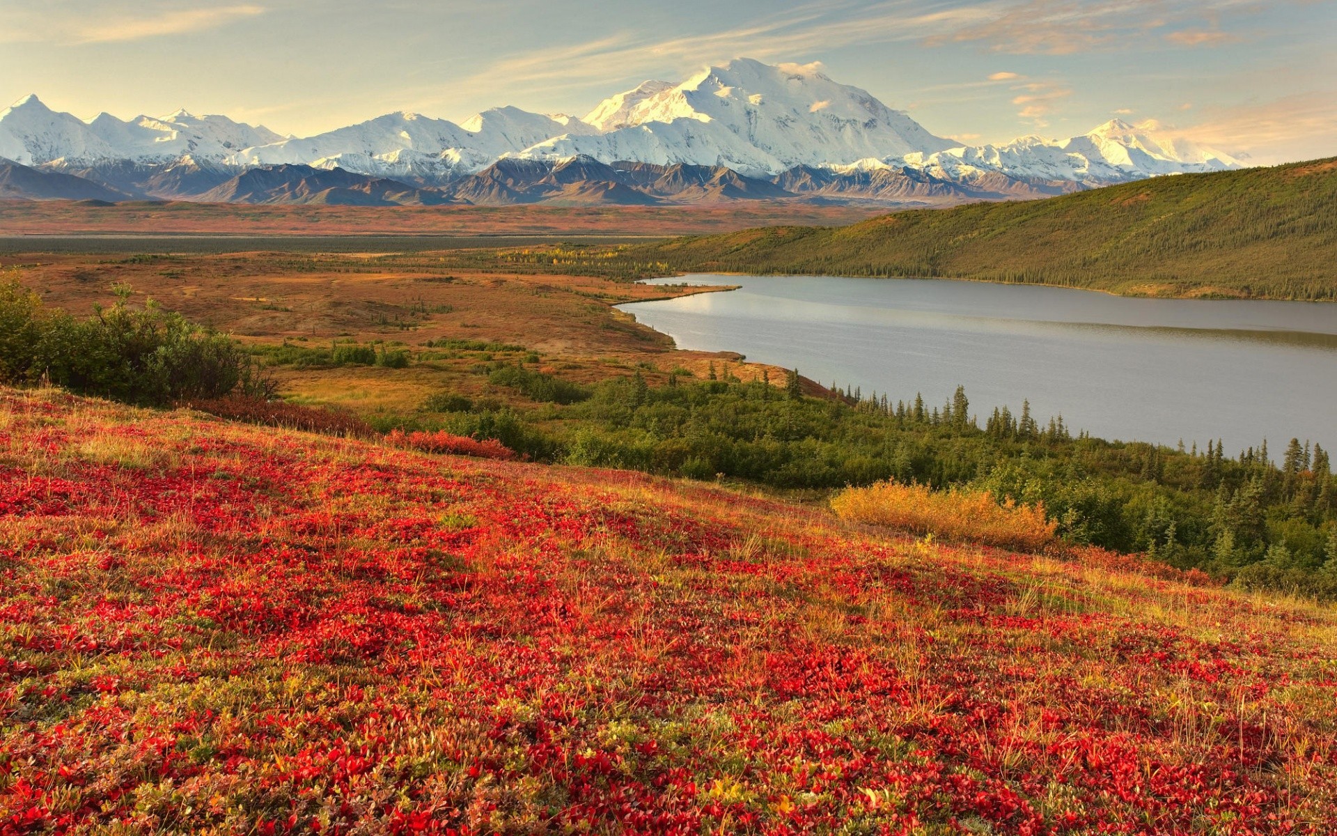 landscapes landscape nature mountain outdoors travel lake scenic sky fall water grassland grass flower tundra hayfield