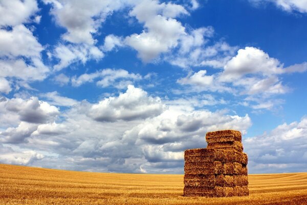 Haystacks in a field against the sky