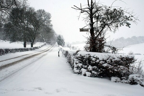 Paesaggio invernale in bianco e nero