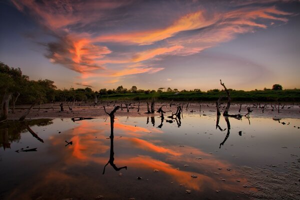 Reflejo del cielo crepuscular en el lago del bosque