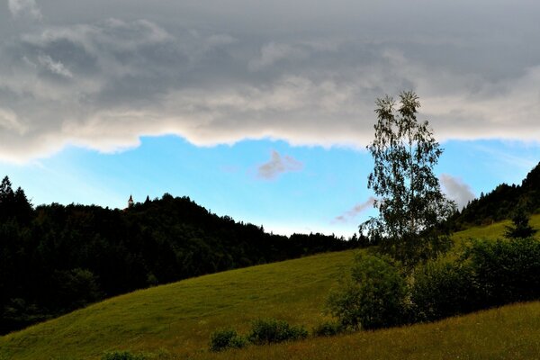 Natur Lichtung Bäume Himmel Wolken