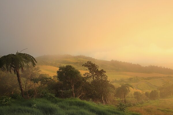 Beautiful landscape with fog at dawn