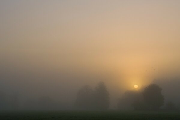 Soleil couchant dans la brume brumeuse