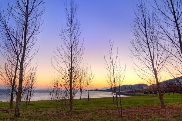 Aube sur un plan d eau, arbres nus