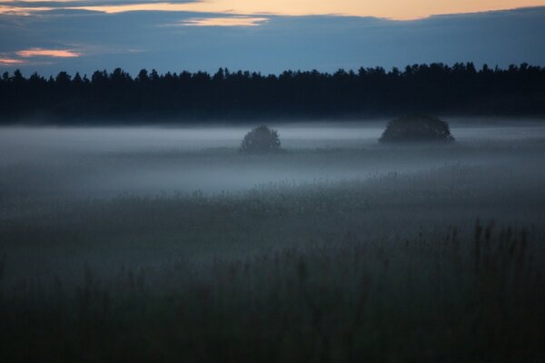 Landschaft Sonnenuntergang Himmel Natur