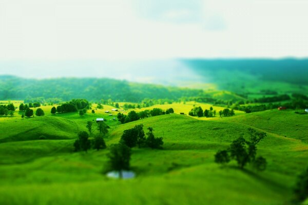 Paysage vue sur village nature arbres