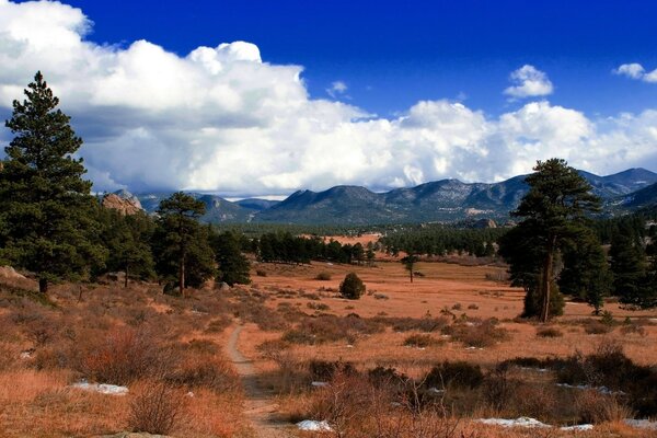 Landscape of mountain sunny nature