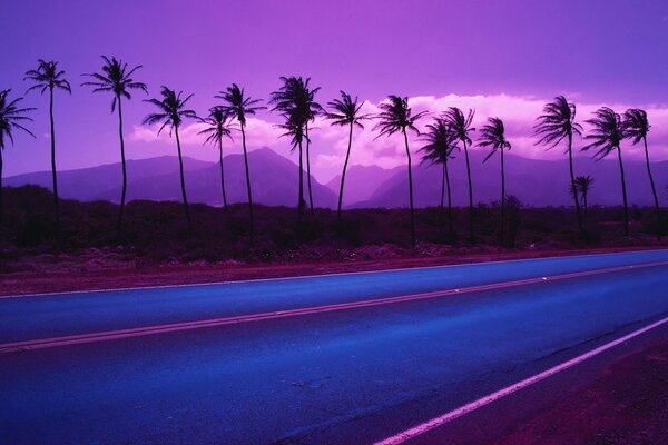 Palmeras en el fondo de las montañas, el camino