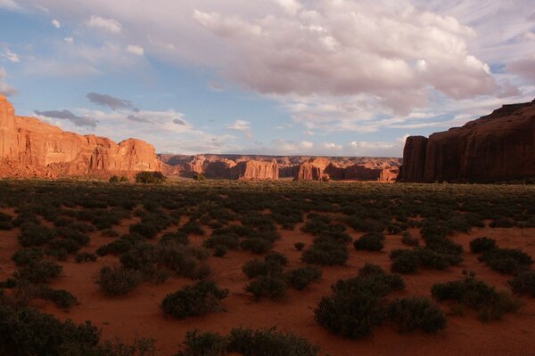 Beautiful desert under a cloudy sky