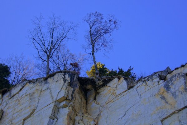 Landschaft Natur Felsen Klippe Höhe Bäume