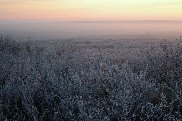 The first frosts, the field in frost, fog