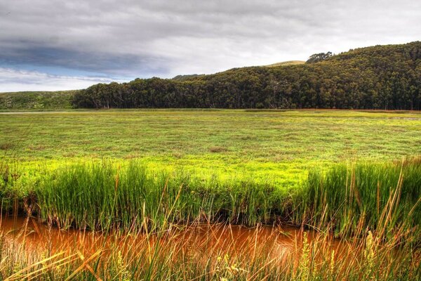 A spacious field under a cloudy sky