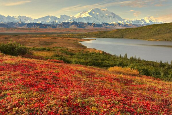 Die Herbstlandschaft in ihrer ganzen Pracht