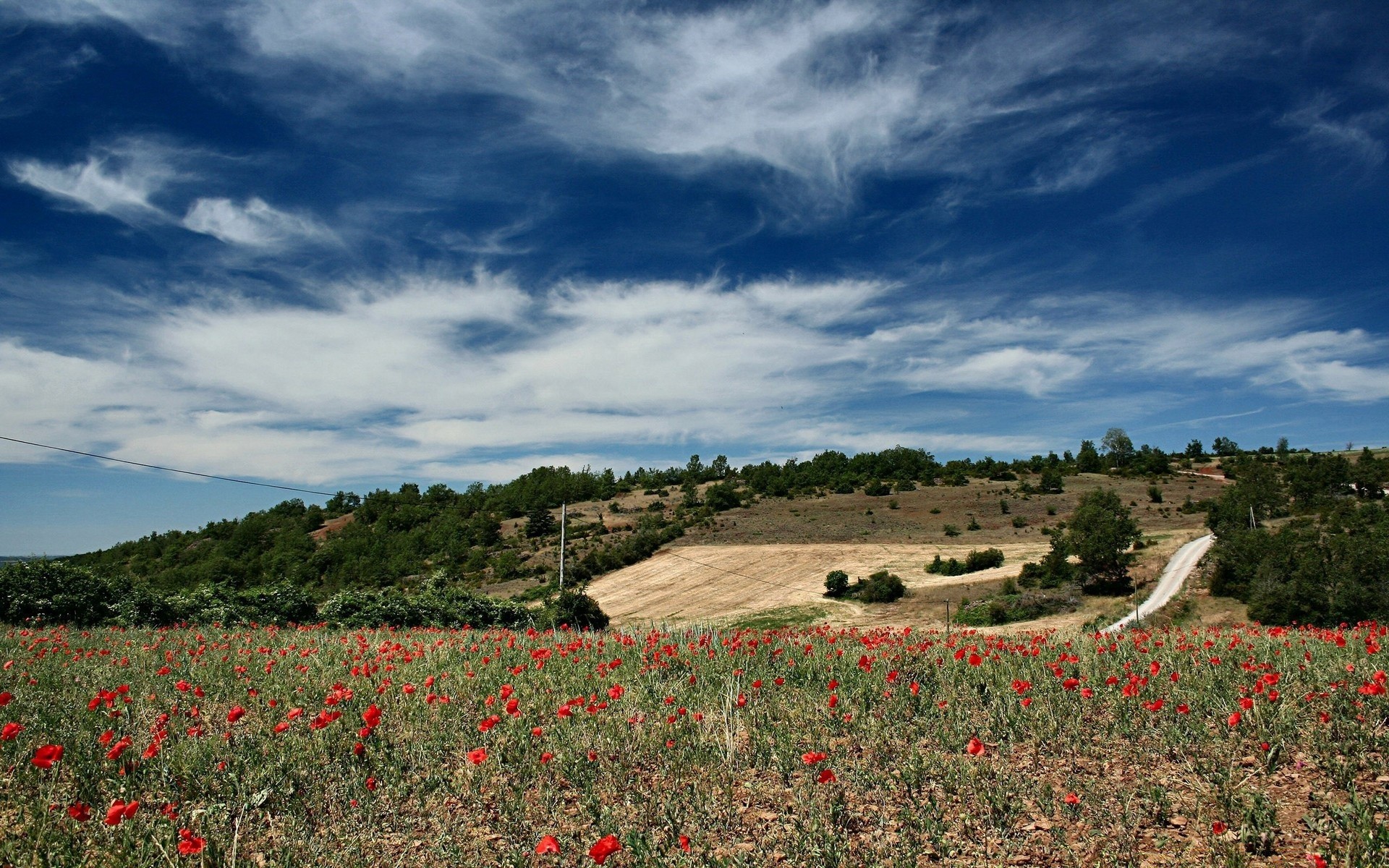 paisaje poppy al aire libre paisaje flor naturaleza cielo agricultura campo viajes tierra cultivada verano rural luz del día