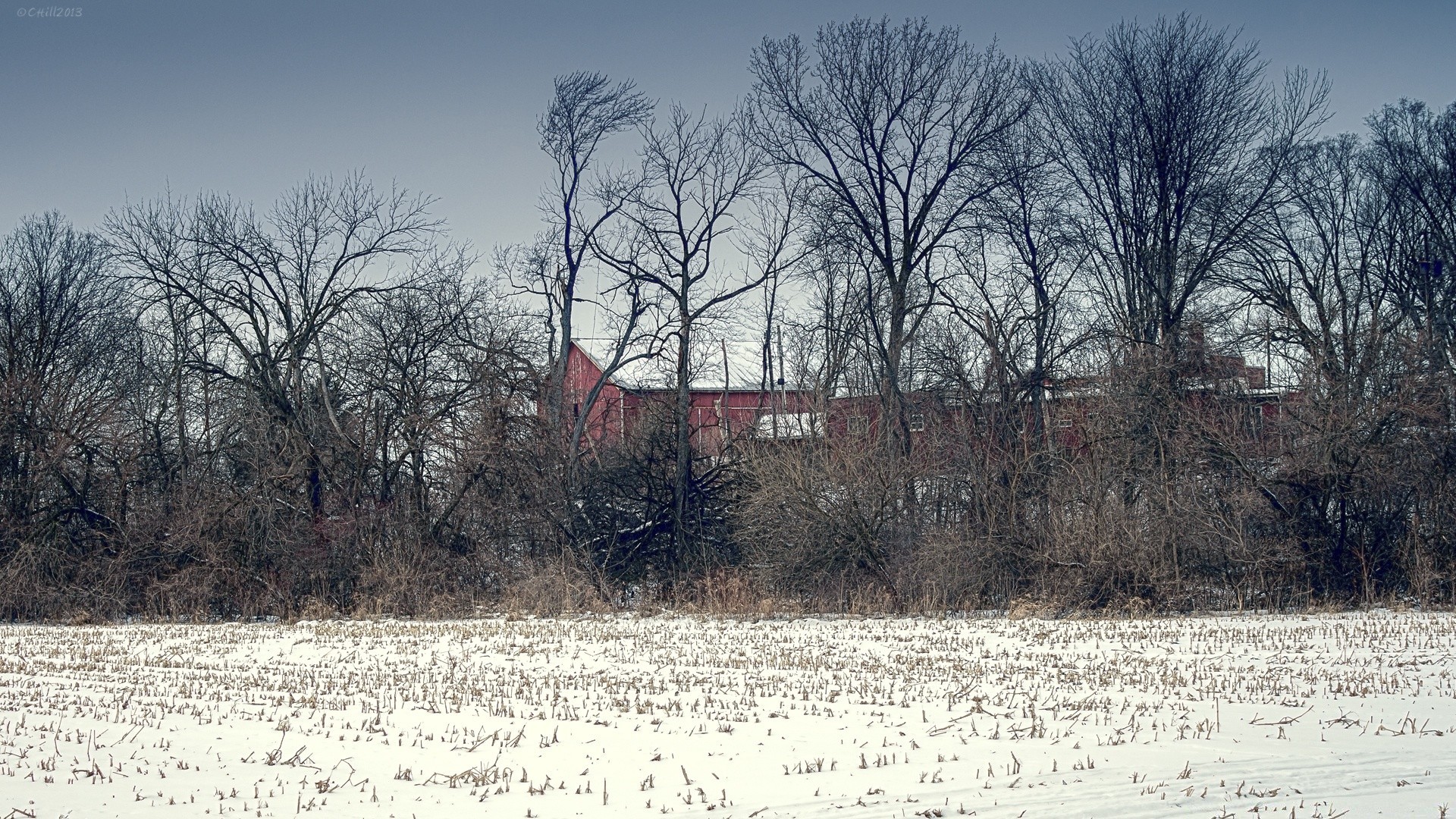 landscapes winter tree landscape snow wood nature season cold weather fog frost frozen branch outdoors dawn environment fall ice park