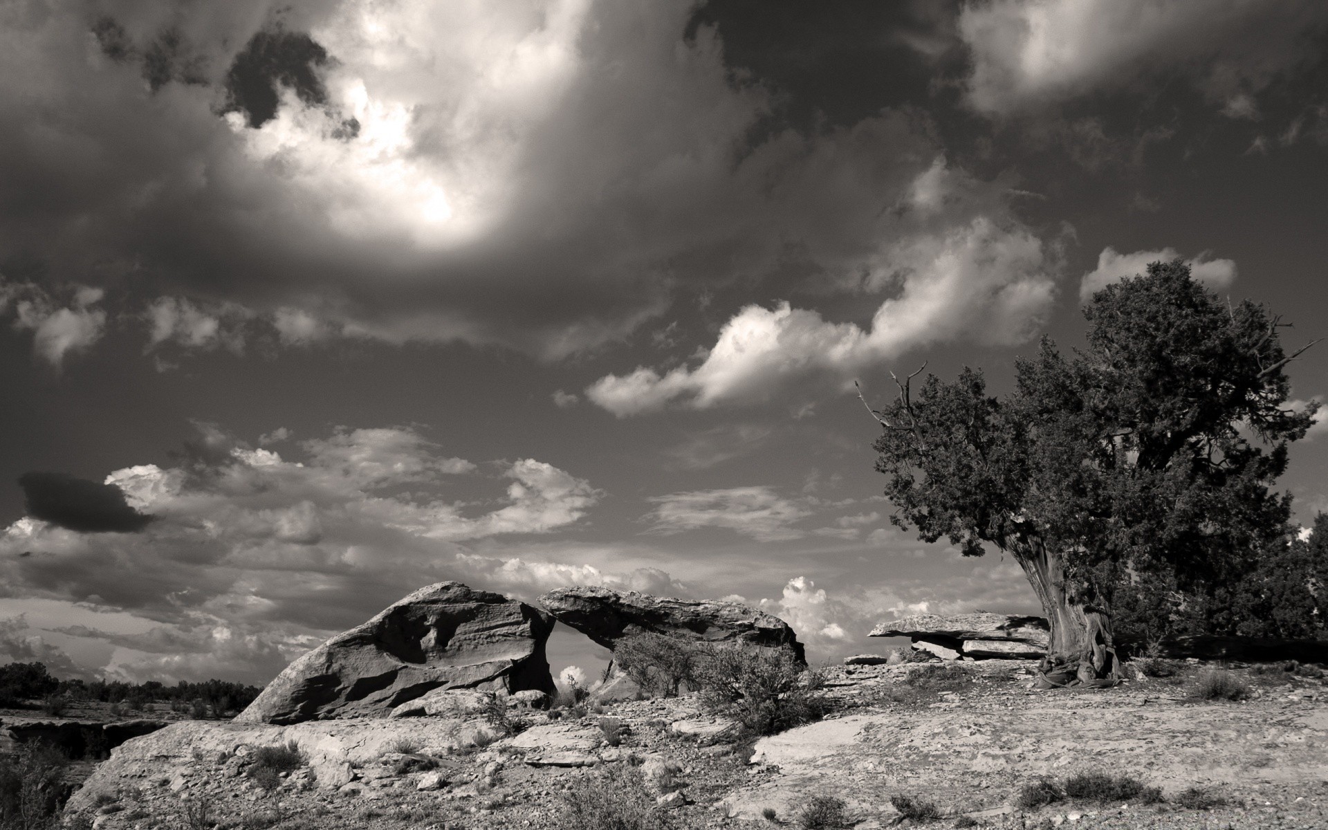 landschaften monochrom landschaft himmel baum natur schwarz / weiß sturm im freien berge infrarot