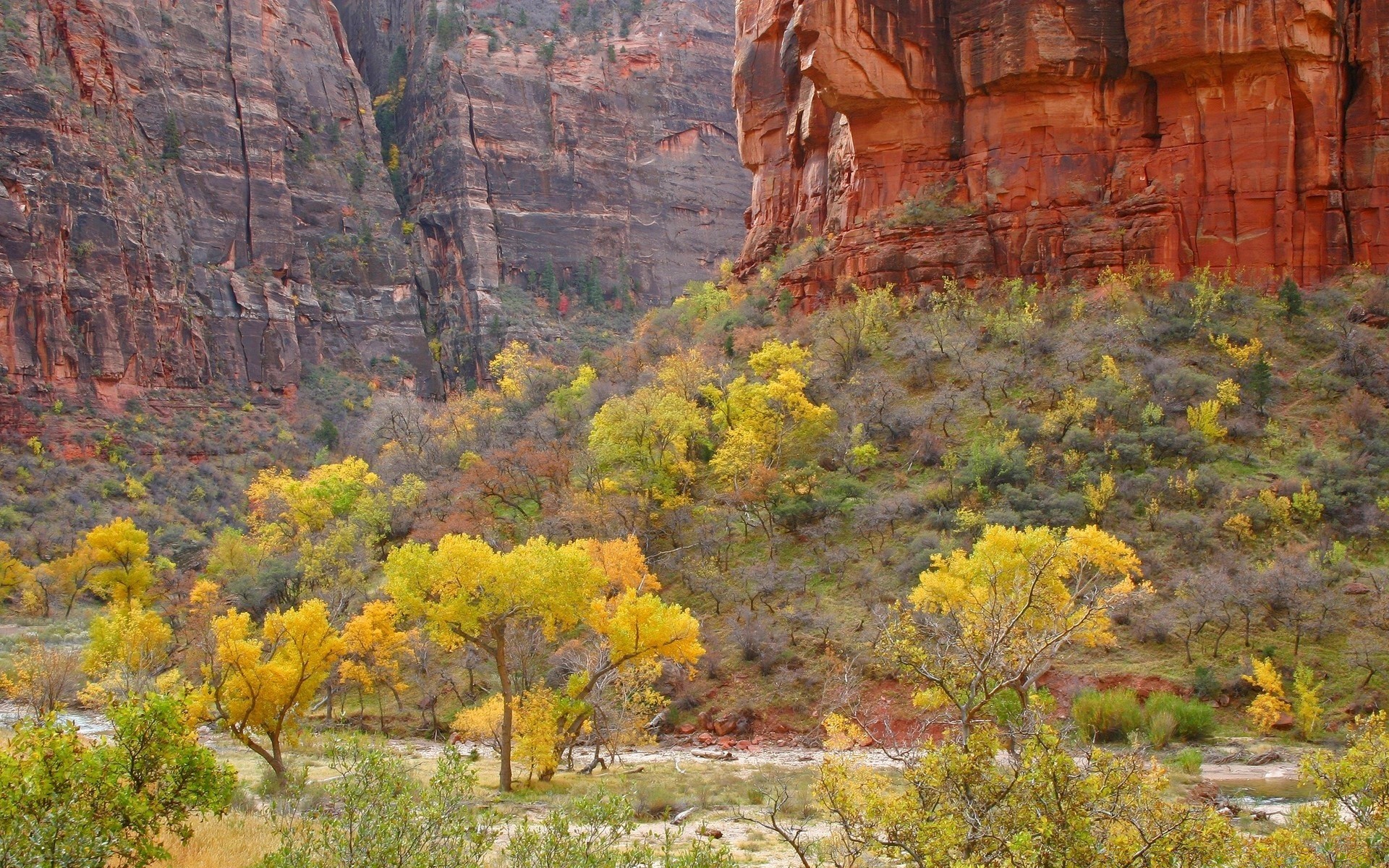 landscapes landscape nature tree fall park outdoors scenic travel mountain canyon leaf wood rock scenery environment color sandstone sky flora