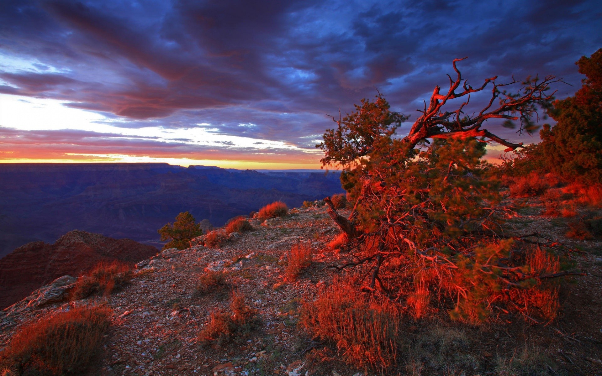 paesaggio paesaggio albero sera autunno all aperto tramonto scenico natura viaggi cielo montagna acqua